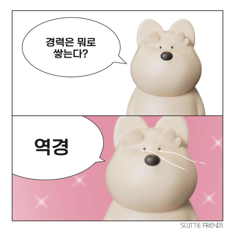 빠마 이미지