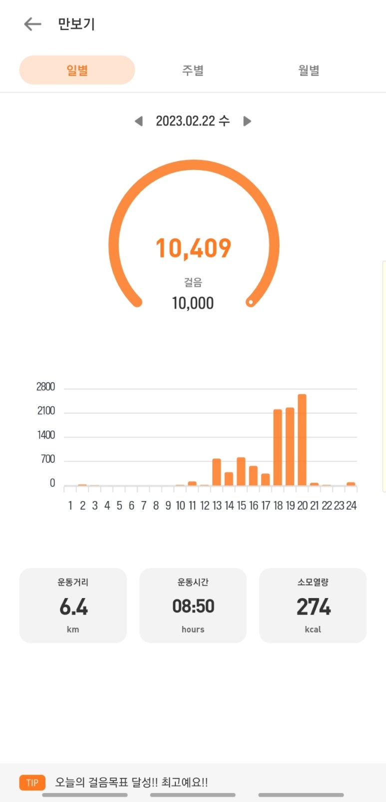 스펀지카니발랜드 이미지