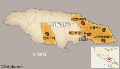 고메이커피 이미지
