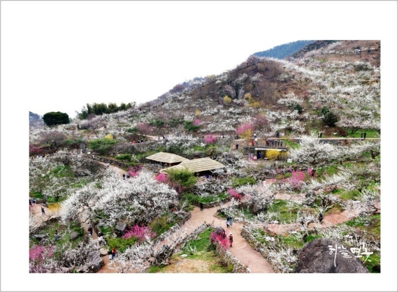 (주)남도연구소 이미지