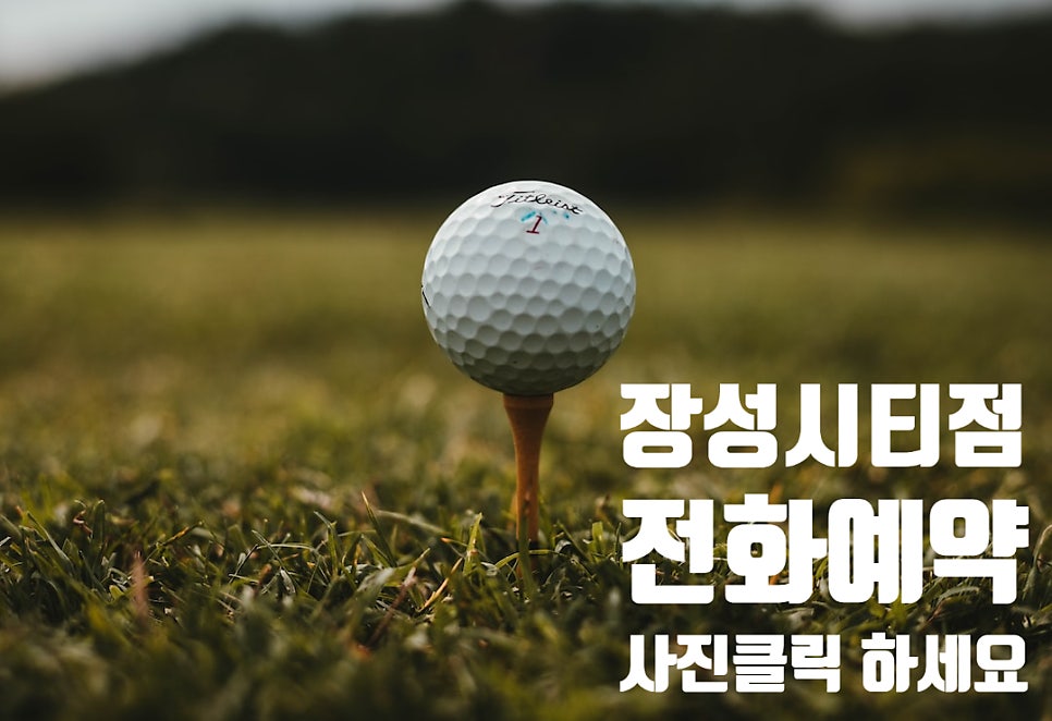 골프존파크장성 이미지