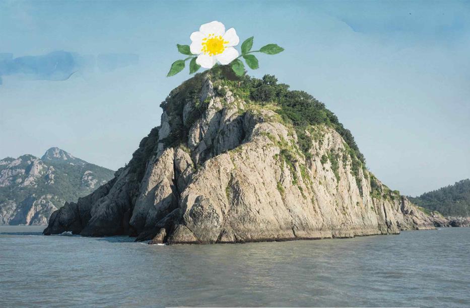 신안바다 이미지