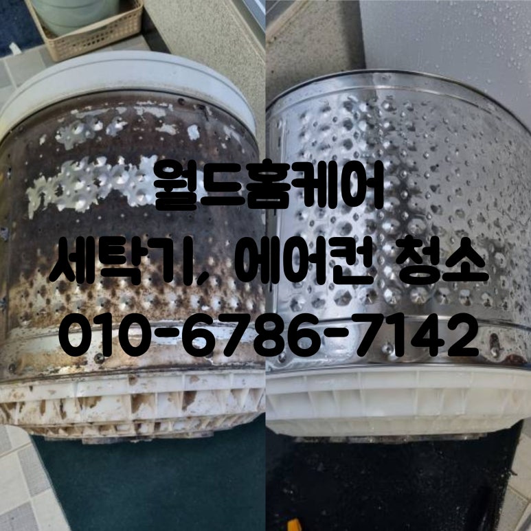 월드홈케어 이미지