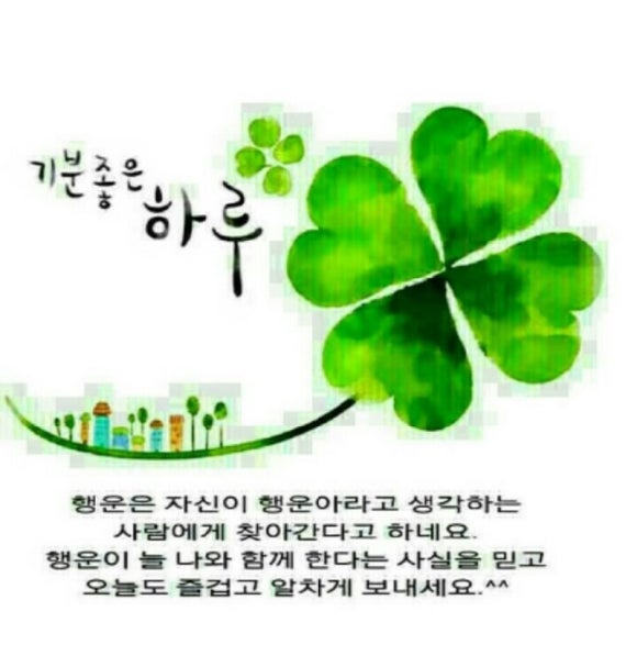 홍헤원 이미지