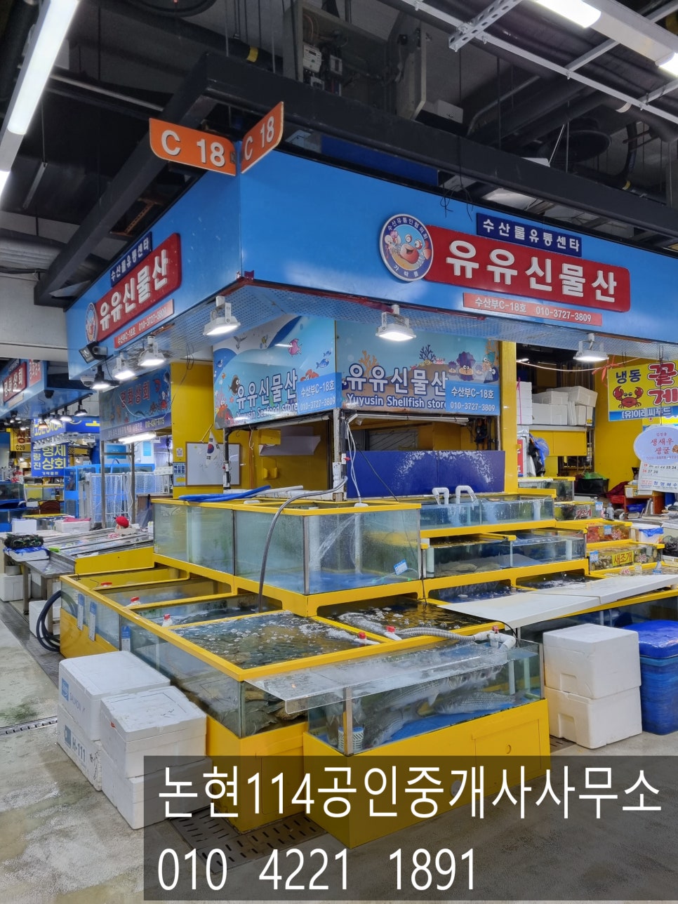 가락어시장 이미지