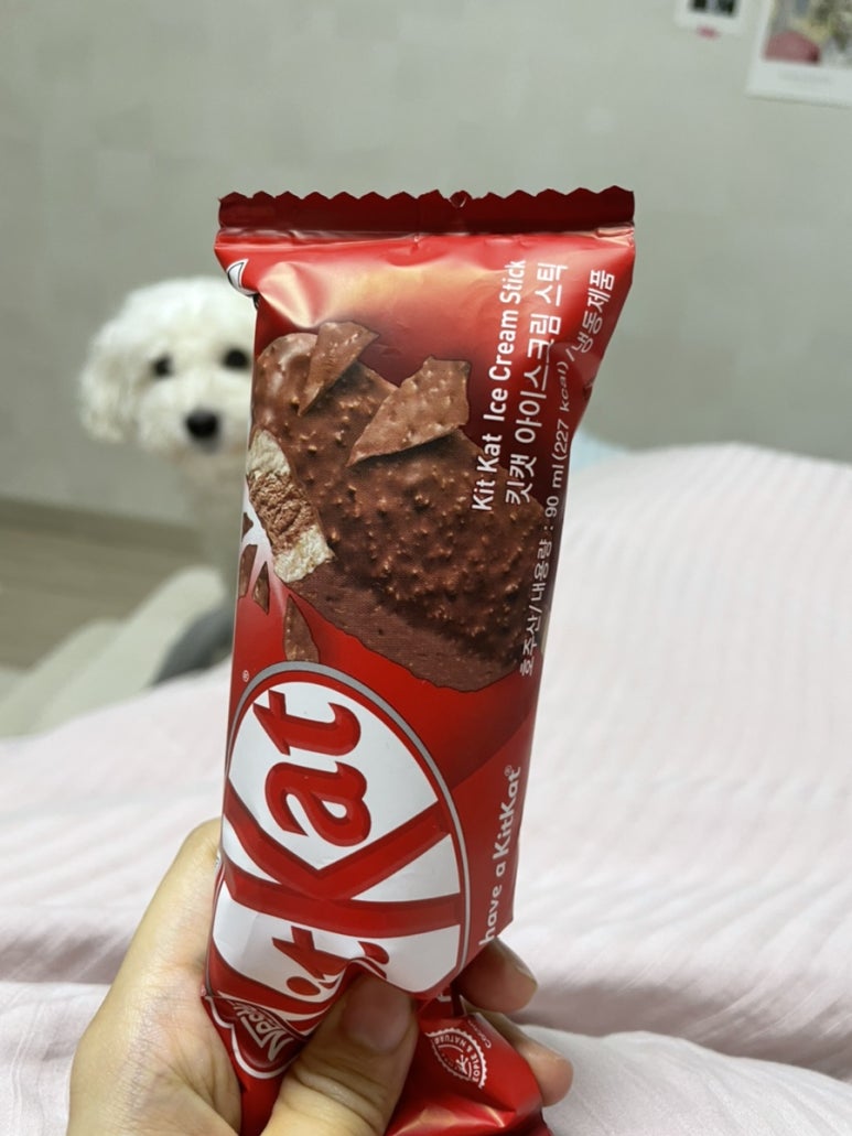 갈때아이스크림 이미지
