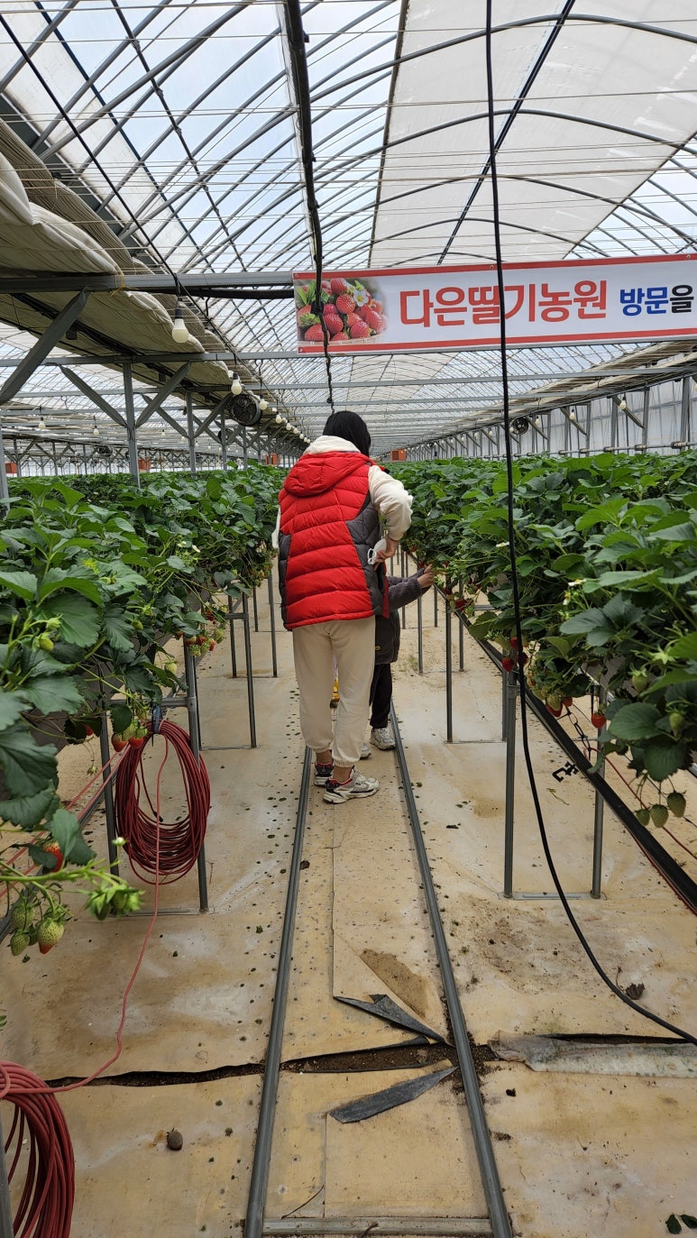 다은농원 이미지