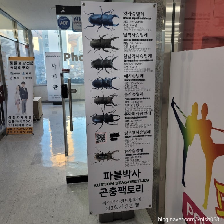 파블박사 이미지