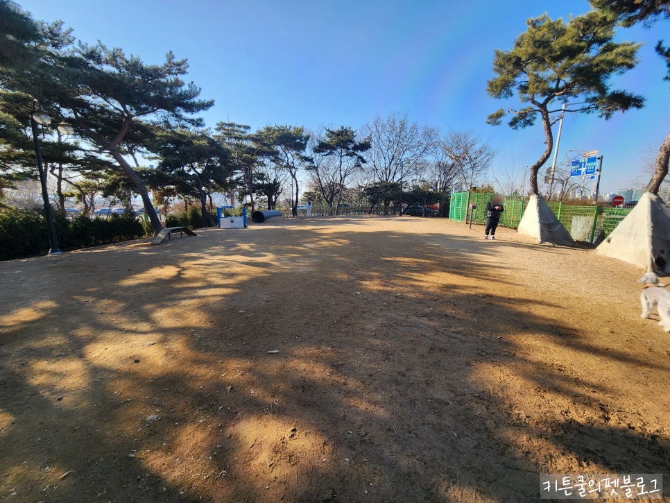 일산 호수공원 반려견 놀이터 방문 후기 및 정보 — 사진 8