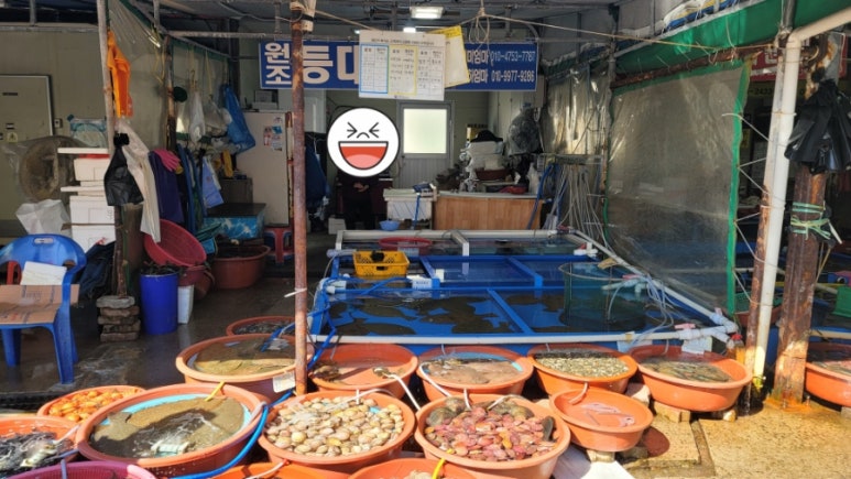 원조등대수산 이미지