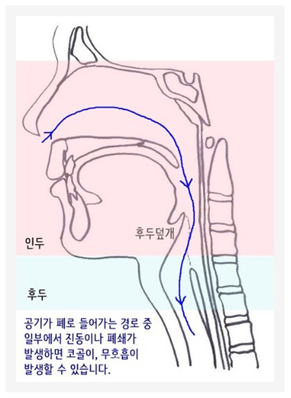 다원위드 이미지