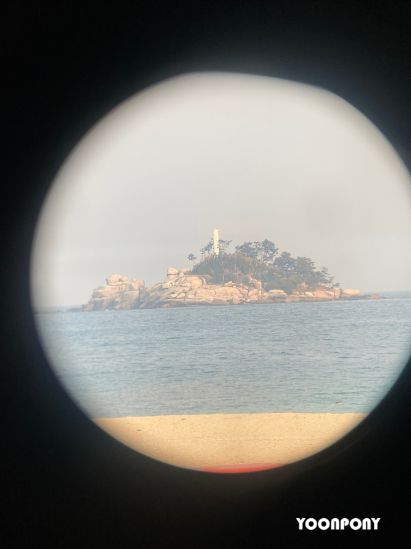 카페청호동 이미지