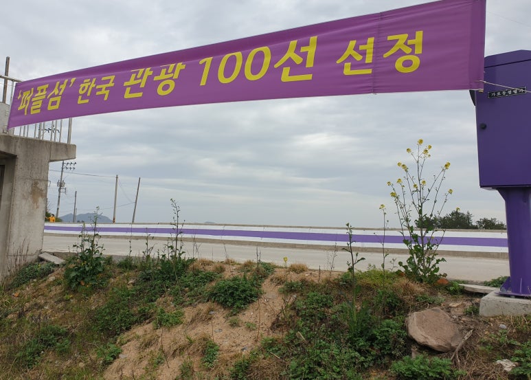 신안군관광협의회안좌퍼플교지점 이미지