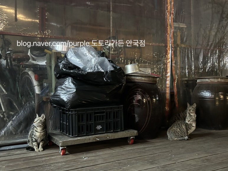 삼청동 냥이 떡볶이 이미지