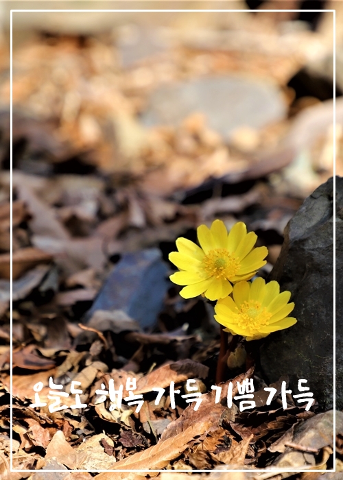 행복가득 이미지