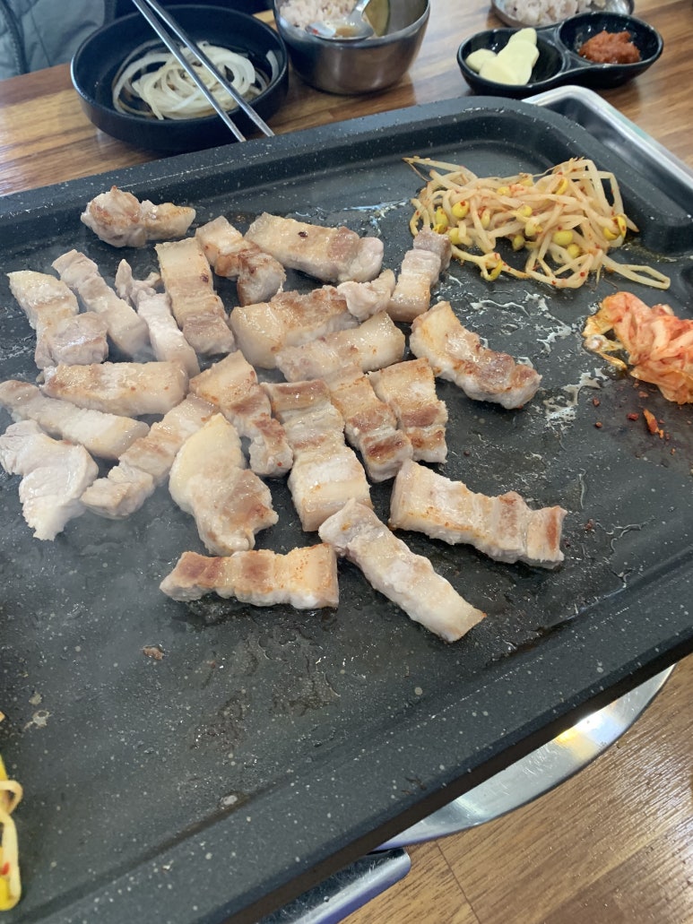만리포뚱돼지 이미지