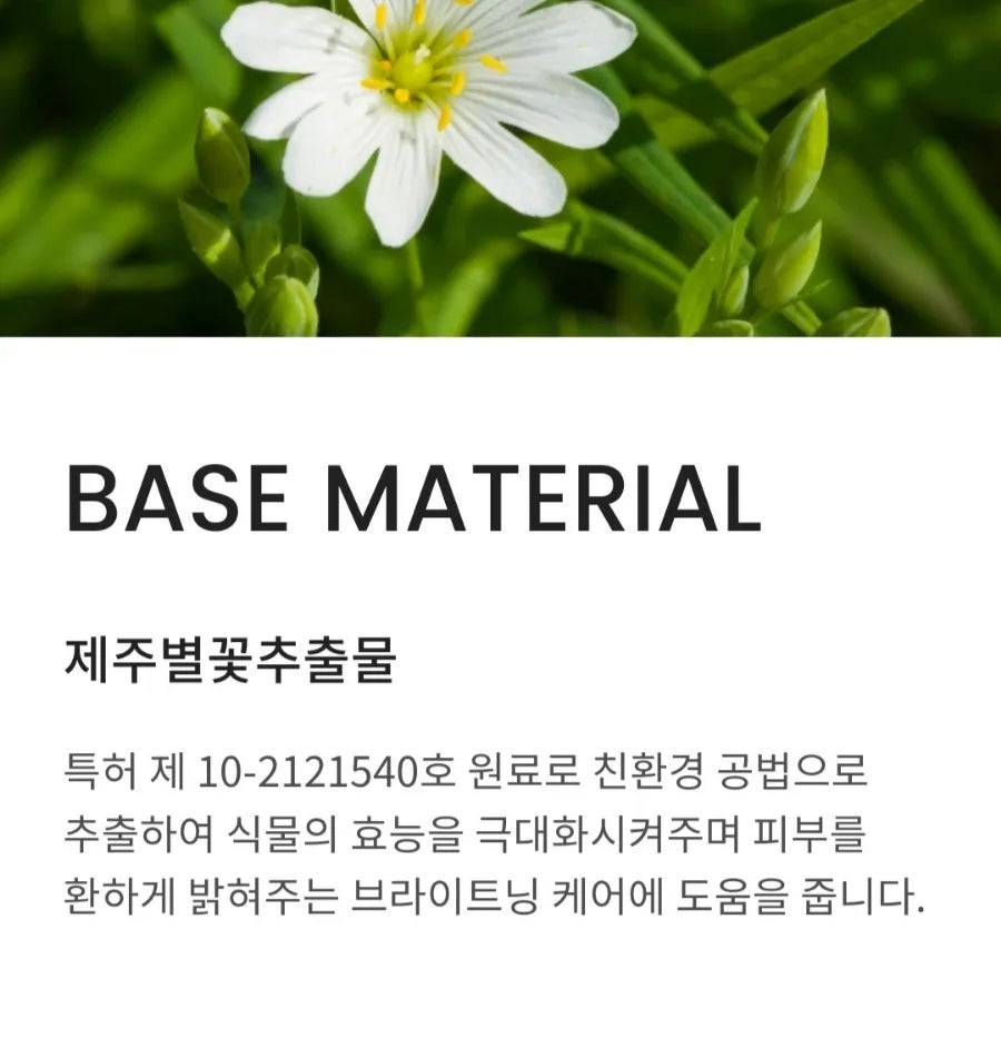 인셀덤 은평대리점 이미지