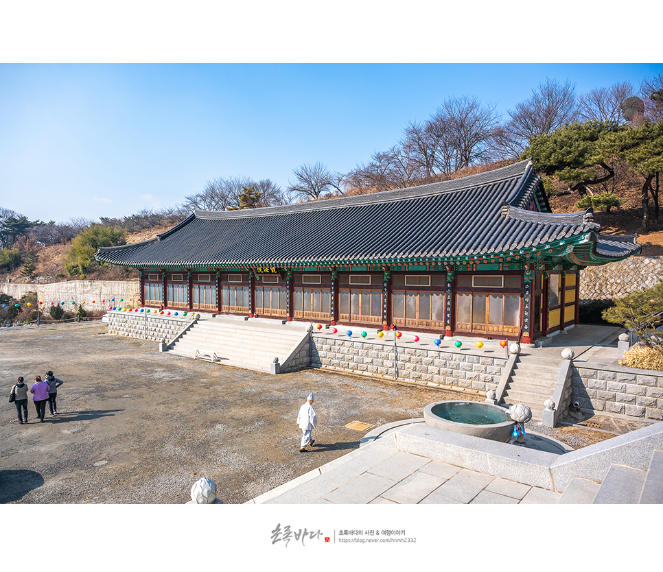 법인자연심 이미지
