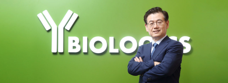 와이바 이미지