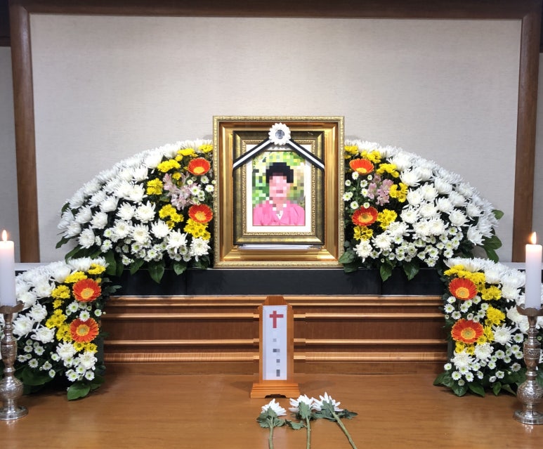 어야가자 이미지