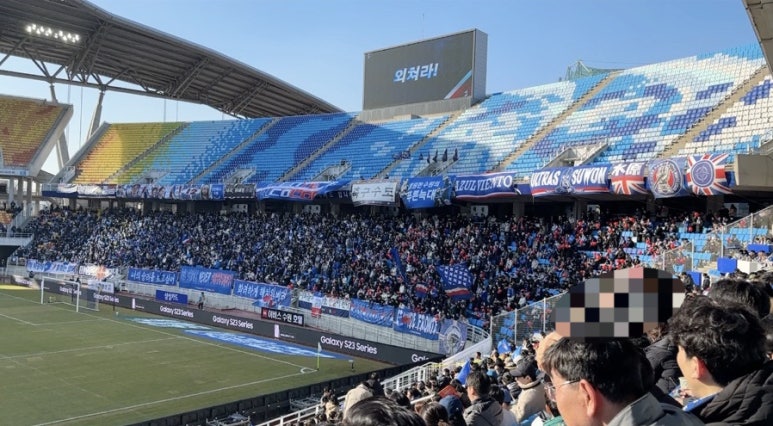 손블리 이미지