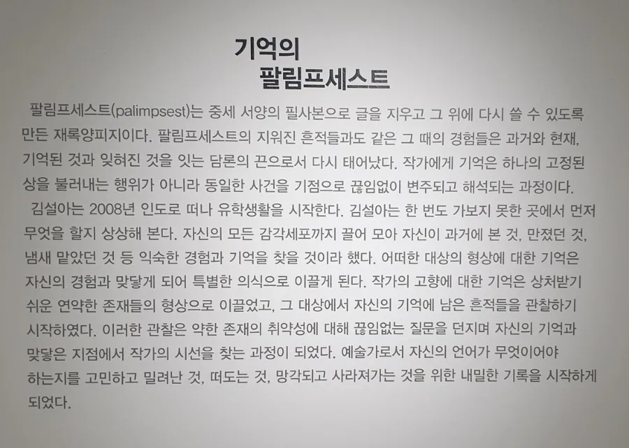 팔림프세스트 이미지