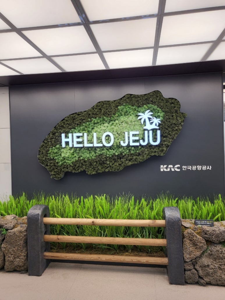 복자몸국 이미지