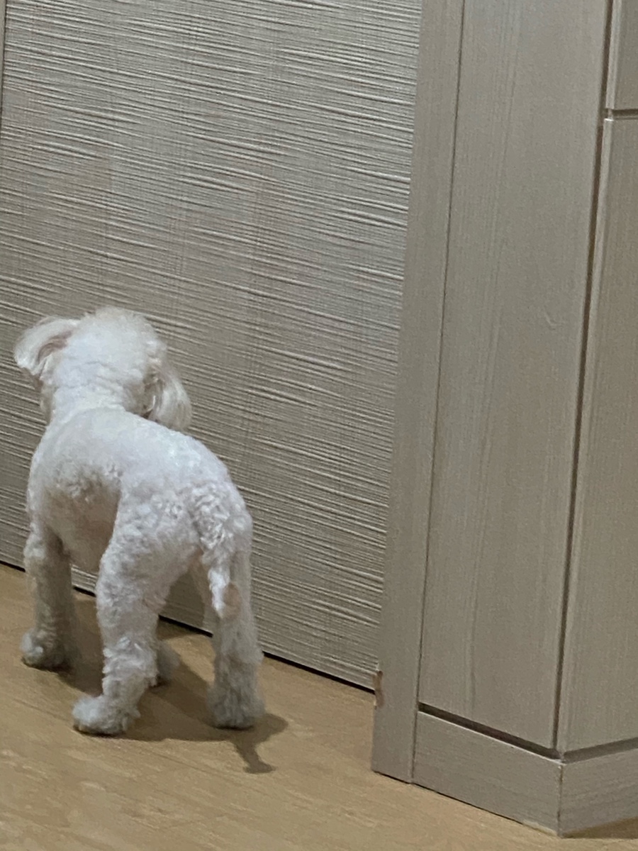 동그라미치킨식당 이미지