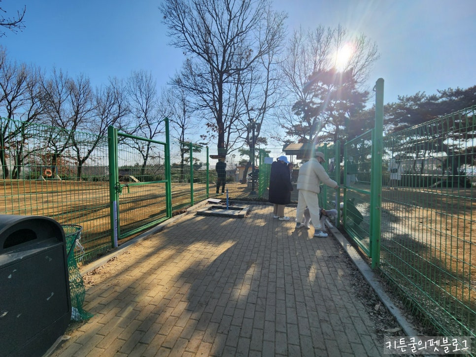 일산 호수공원 반려견 놀이터 방문 후기 및 정보 — 사진 5