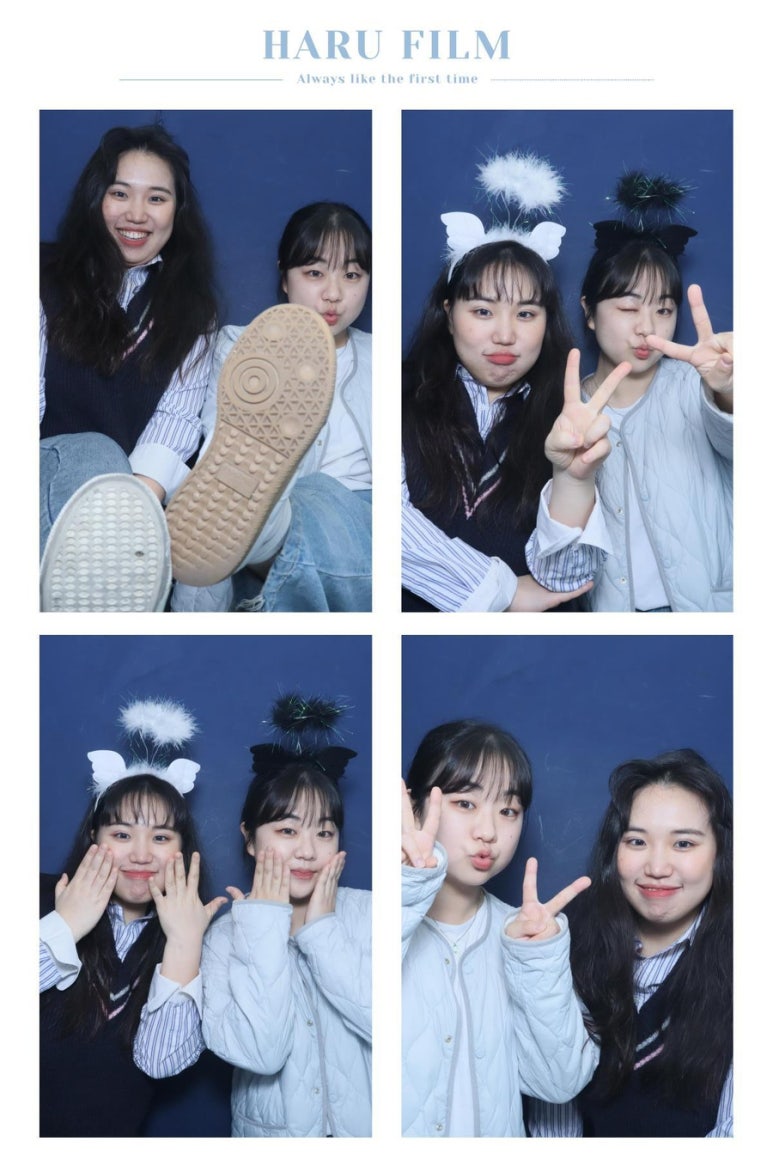 비밀의화원미드나잇점 이미지