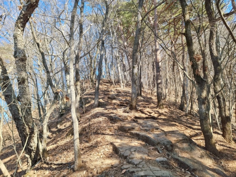 장회나루휴게소 이미지