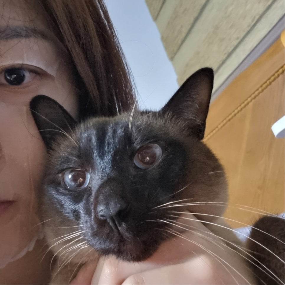오아시스노래연습장외도 이미지