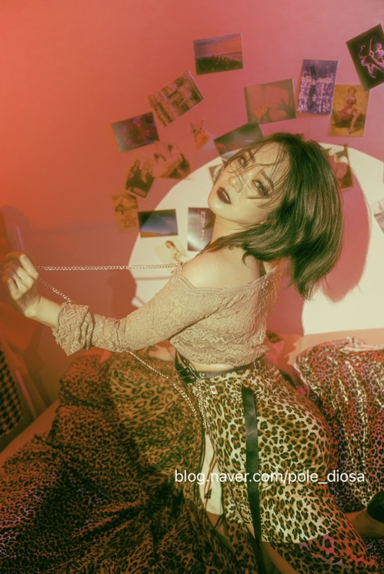 홍말포토 이미지
