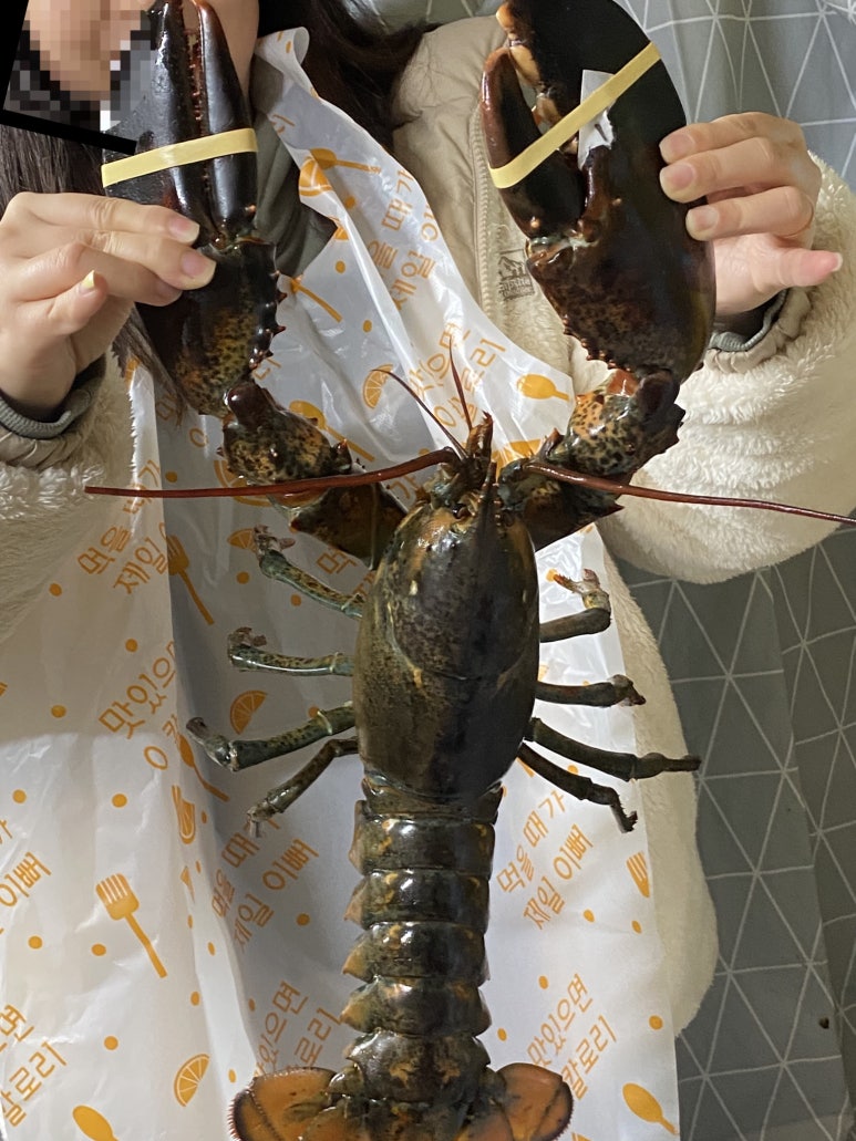 랍스터포차 이미지