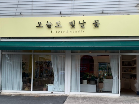 오늘도빛날꽃 이미지
