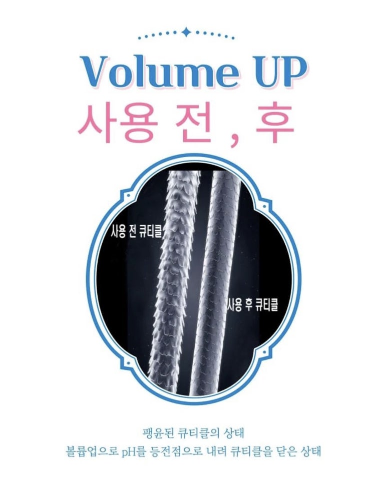 퍼플뷰티 이미지