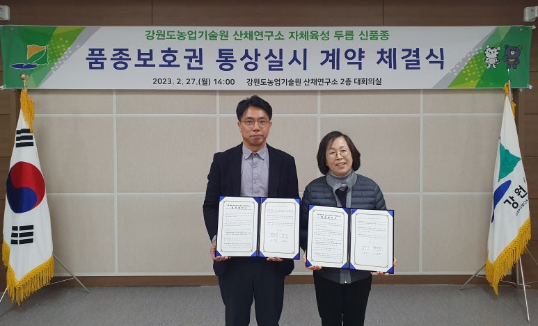 대아개발(주) 이미지