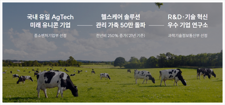 임팩트축산 이미지