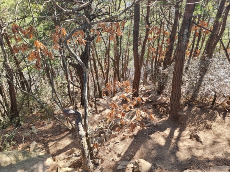 장회나루휴게소 이미지