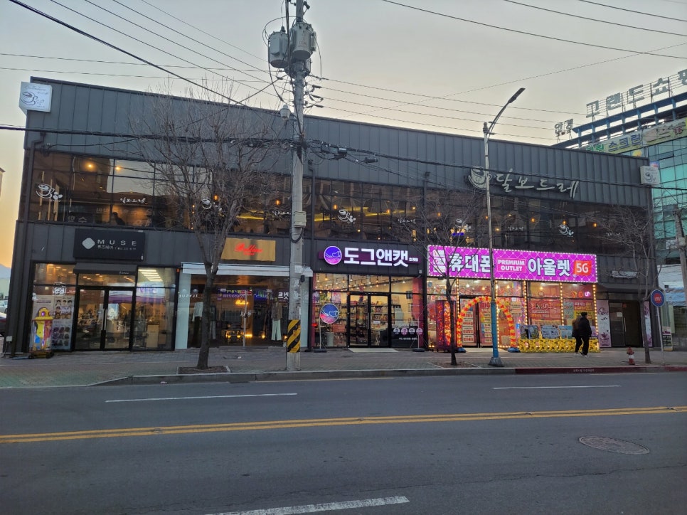달보드레2 이미지