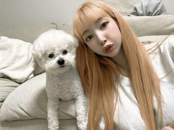 하이야트미용실 이미지