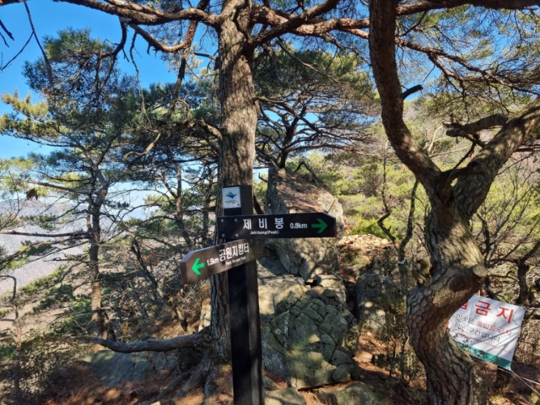 장회나루휴게소 이미지