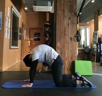 브레싱 이미지