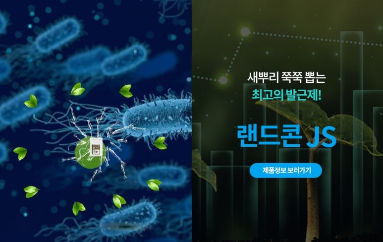 이*제이*에스 이미지