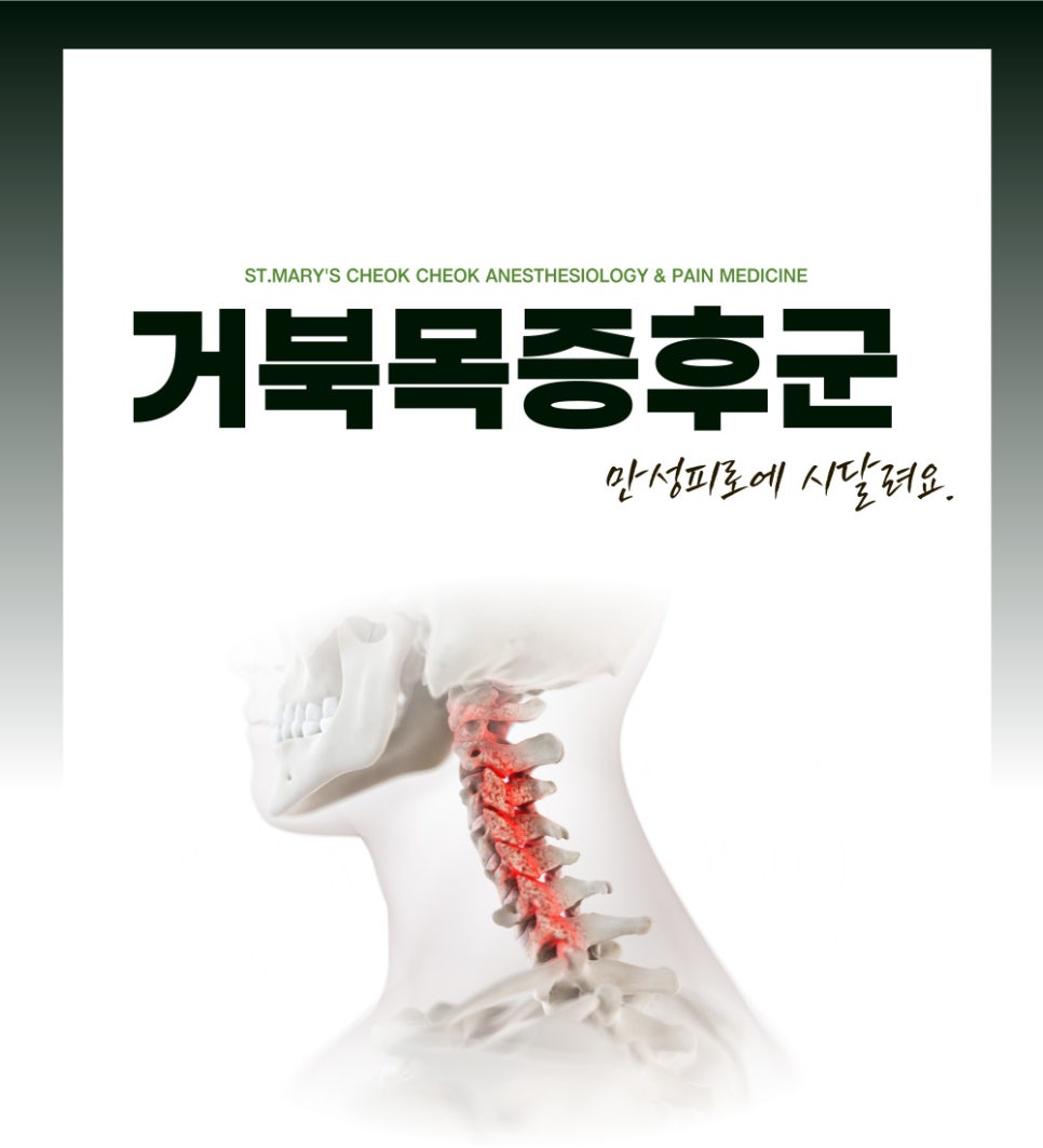 성모척척마취통증의학과의원 이미지