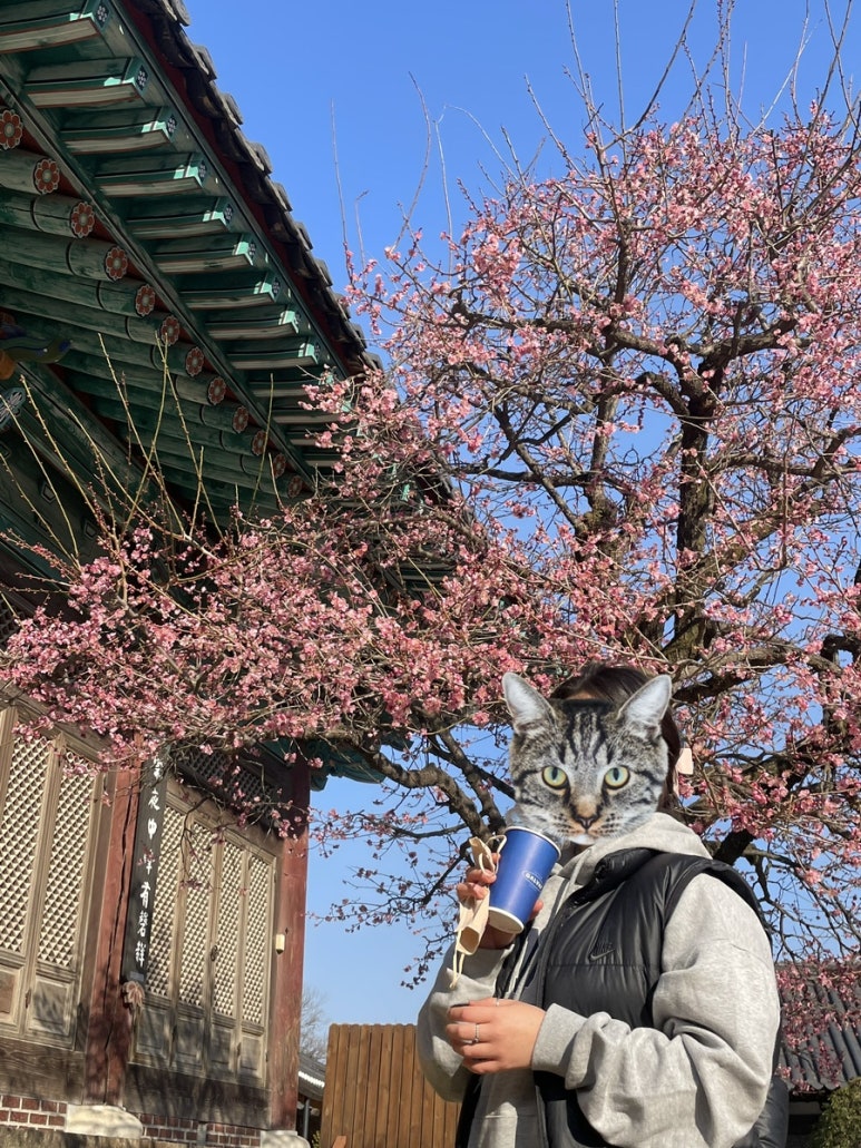 꽃돼지하우스식당 이미지