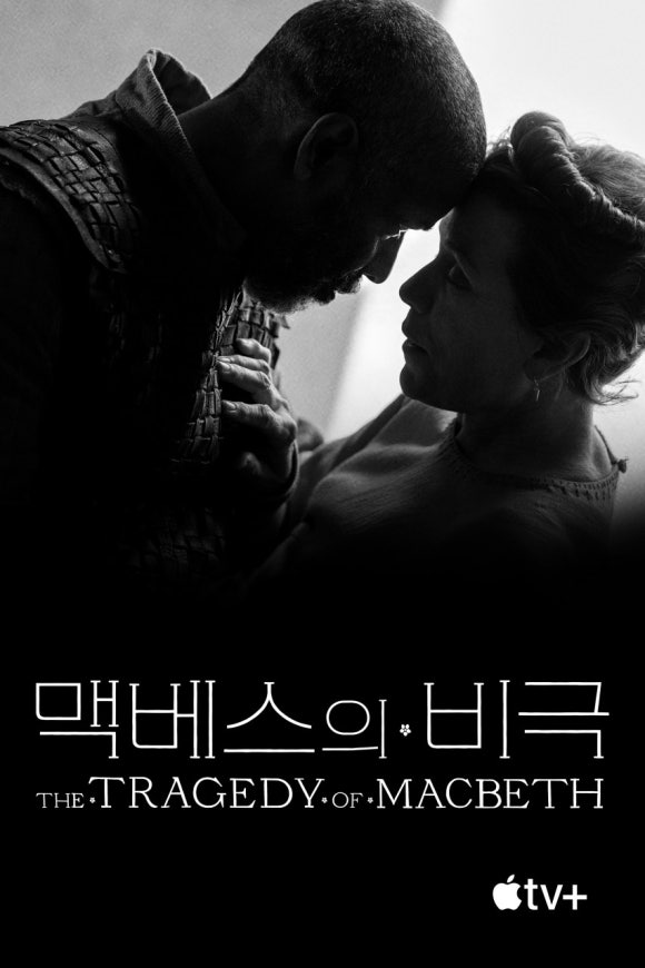 파고레이디 이미지