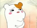 서진악기 이미지