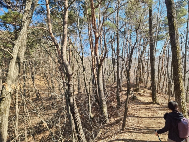 장회나루휴게소 이미지