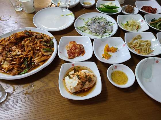 낙지대통령 이미지